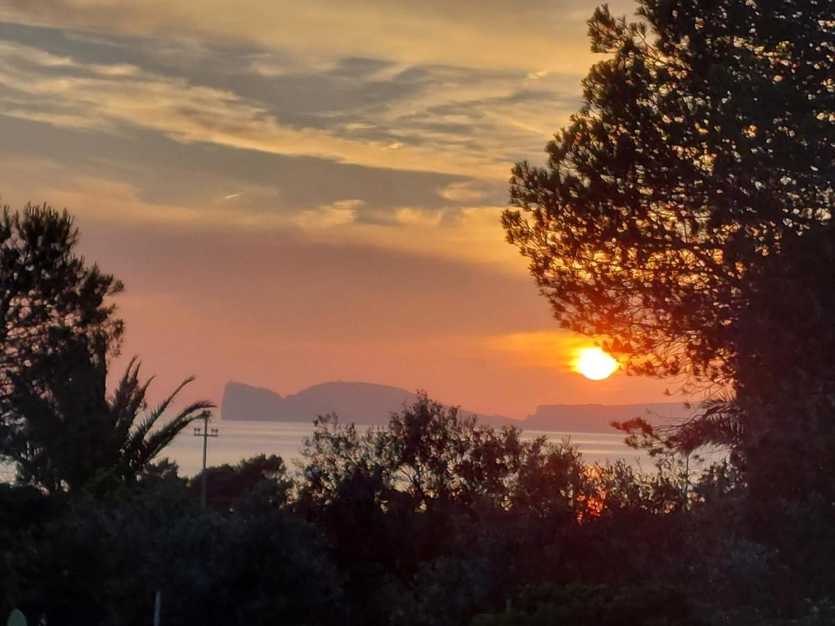 Arcamyrtus Vendégház Alghero Kültér fotó