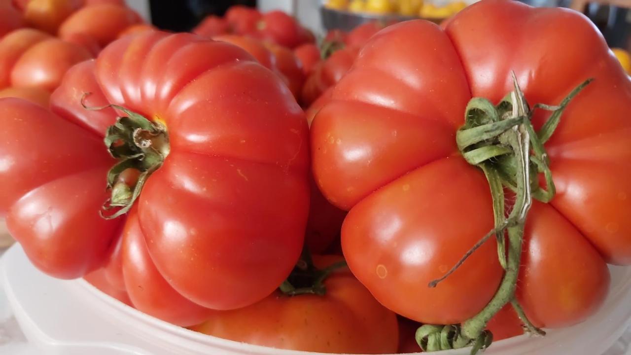 Arcamyrtus Vendégház Alghero Kültér fotó